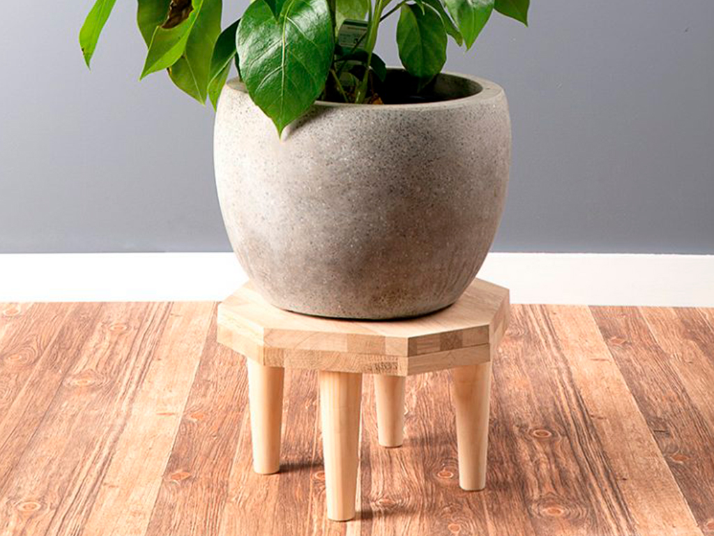 A potted plant on a stool