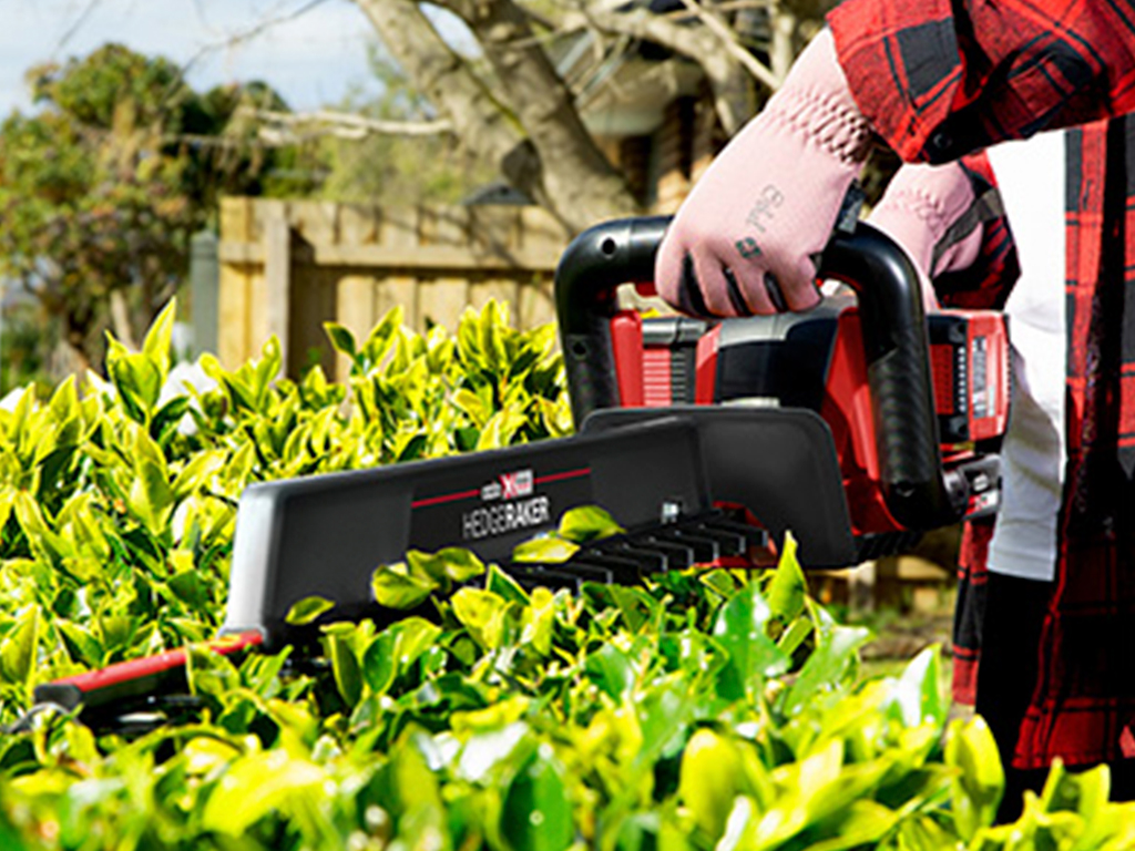  working with a cordless hedge saw
