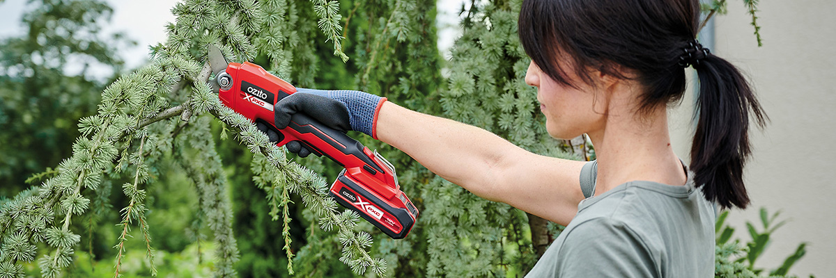 Ozito cordless pruning discount saw